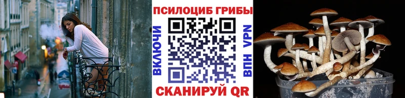 Псилоцибиновые грибы ЛСД  Старый Крым 